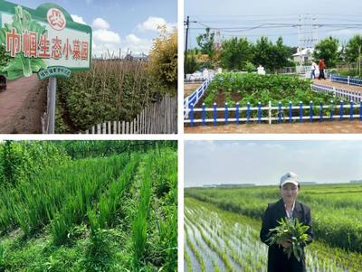 黑龍江大慶:全省首家“巾幗云端小菜園”上線