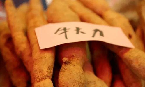 好嗨喲 東方市江邊鄉(xiāng)黎族傳統(tǒng)節(jié)日 山欄節(jié) 活動日程出爐,一起約起來