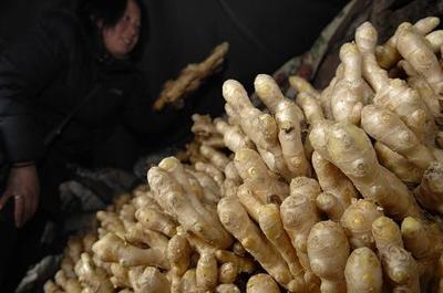 生姜大蒜批發價格大幅回落