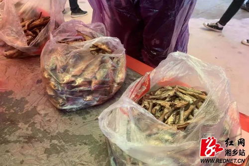 梅龍冬筍俏市場 消費扶貧助增收