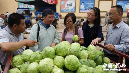 中國農(nóng)副土特產(chǎn)品開發(fā)公司董事長在武山調(diào)研(圖)