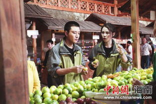 賈乃亮為保亭扶貧攻堅代言 推廣保亭土特產(chǎn)品
