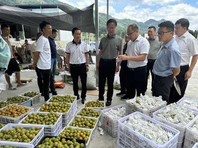 黔南州社:州政協調研全州推進供銷系統基層社恢復重建工作