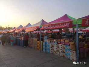 電商大集展銷特產 正陽農副產品人氣旺
