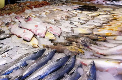鯉魚價(jià)格翻倍,鯽魚上漲6元,草魚漲破10元 水產(chǎn)品市場(chǎng)咋回事