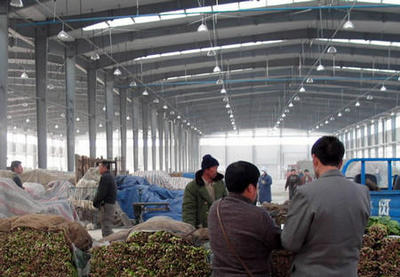 圖文:東北地區最大的農副產品批發市場投入使用-洽談生意