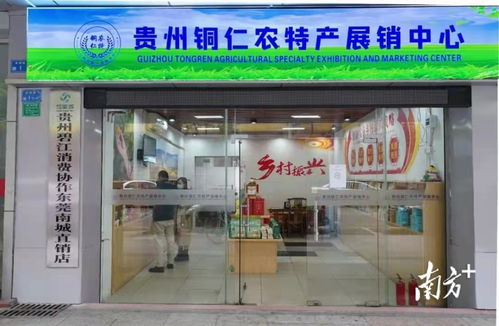 友誼無 疫 南城搭建互助橋梁,助力 黔貨出山