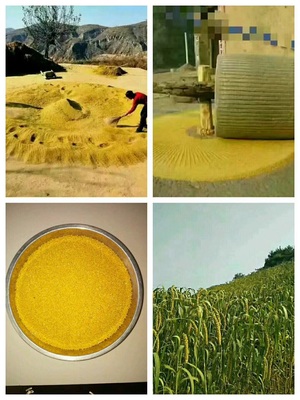 你好 首先我們這農副土特產品比較多 要怎么運營?