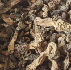 廣元市羊肚菌_廣元市羊肚菌批發網_羊肚菌批發價格 - 廣元市山菇娘農副土特產品